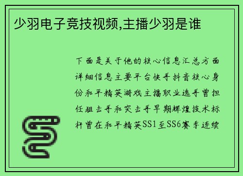 少羽电子竞技视频,主播少羽是谁